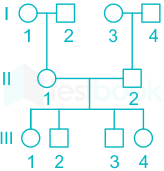 F3 Vinanti Teaching 19.06.23 D21