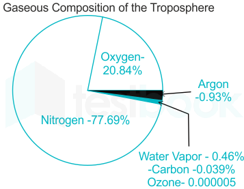 gases in the troposphere