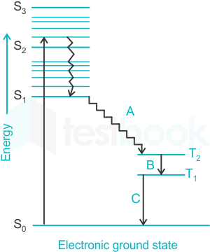 F1 Teaching Arbaz 12-07-2023 Ankit D30