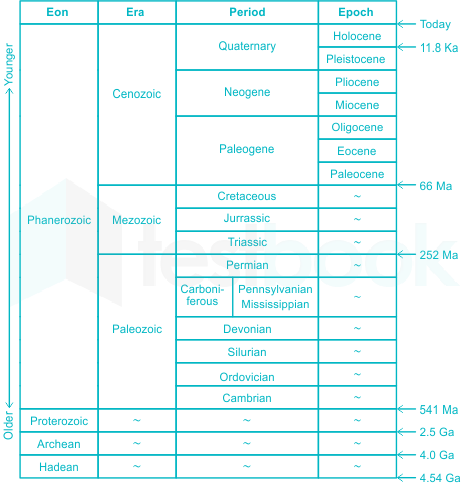 F3 Vinanti Teaching 05.07.23 D1