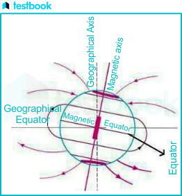 magnetic poles and equator diagram