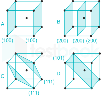 F4 Vinanti Teaching 05.09.23 D41