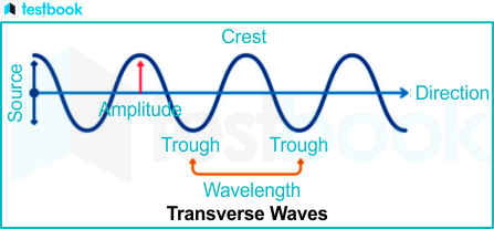 What is a Wave and What are the Different Types of Waves