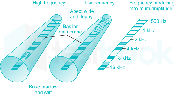 F3 Teaching Arbaz 1-11-23 D5