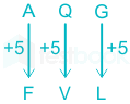 F1 Savita State G 15-12-23 D8