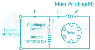 Single Phase Induction Motor MCQ [Free PDF] - Objective Question Answer for  Single Phase Induction Motor Quiz - Download Now!