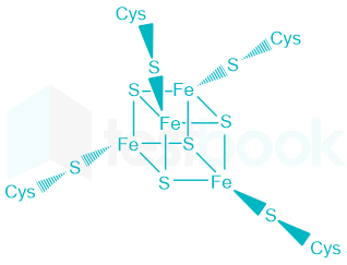 F1 Teaching Arbaz 3-1-24 D114