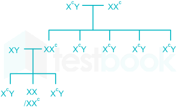 F1 Teaching Savita 04-1-24 D3