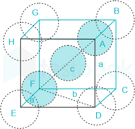 F1 Teaching Savita 12-1-24 D58