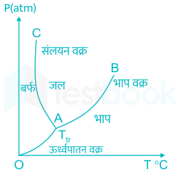 F1 Image Priya 1-02-24 D73