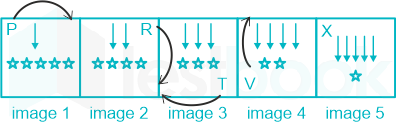 F4 Savita SSC 15-2-24 D7