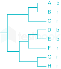 F1 Teaching Arbaz 15-3-24 D38