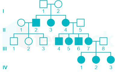 F1 Teaching Arbaz 5-3-24 D46