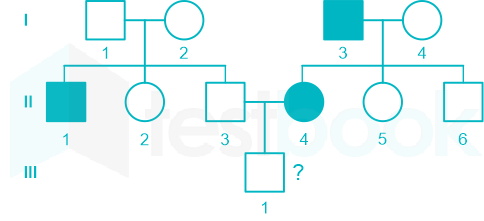 F1 Teaching Arbaz 5-3-24 D48