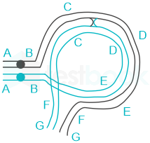 F1 Teaching Arbaz 5-3-24 D53