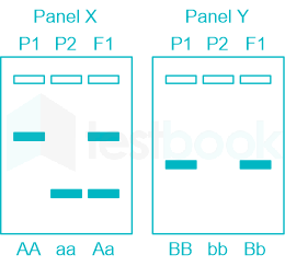 F1 Teaching Arbaz 5-3-24 D55