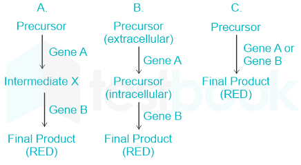 F1 Teaching Arbaz 5-3-24 D57