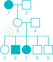 F1 Teaching Arbaz 5-3-24 D63