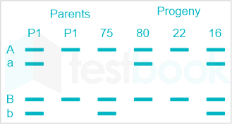 F1 Teaching Arbaz 5-3-24 D66