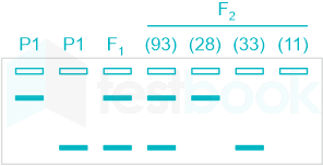 F1 Teaching Arbaz 5-3-24 D68