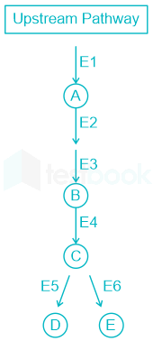 F1 Teaching Arbaz 5-3-24 D69