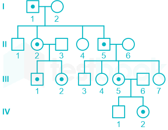 F1 Teaching Arbaz 5-3-24 D76