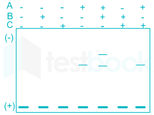 F1 Teaching Ishits 026.03.24 D57