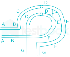 F1 Teaching Savita 3-6-24 D05