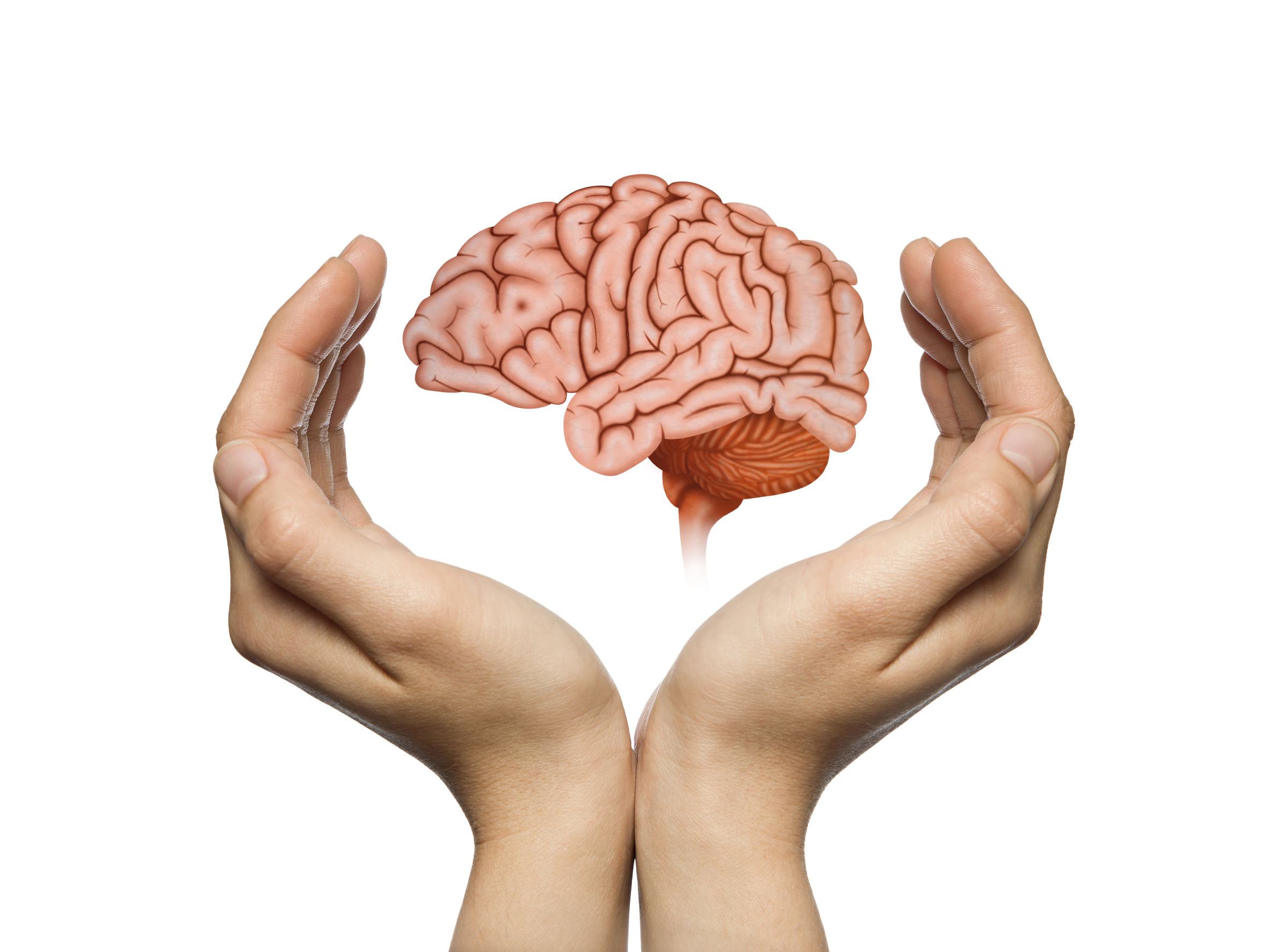 An image of a brain being held by two hands to illustrate 7 Ways to Improve Brain Health.