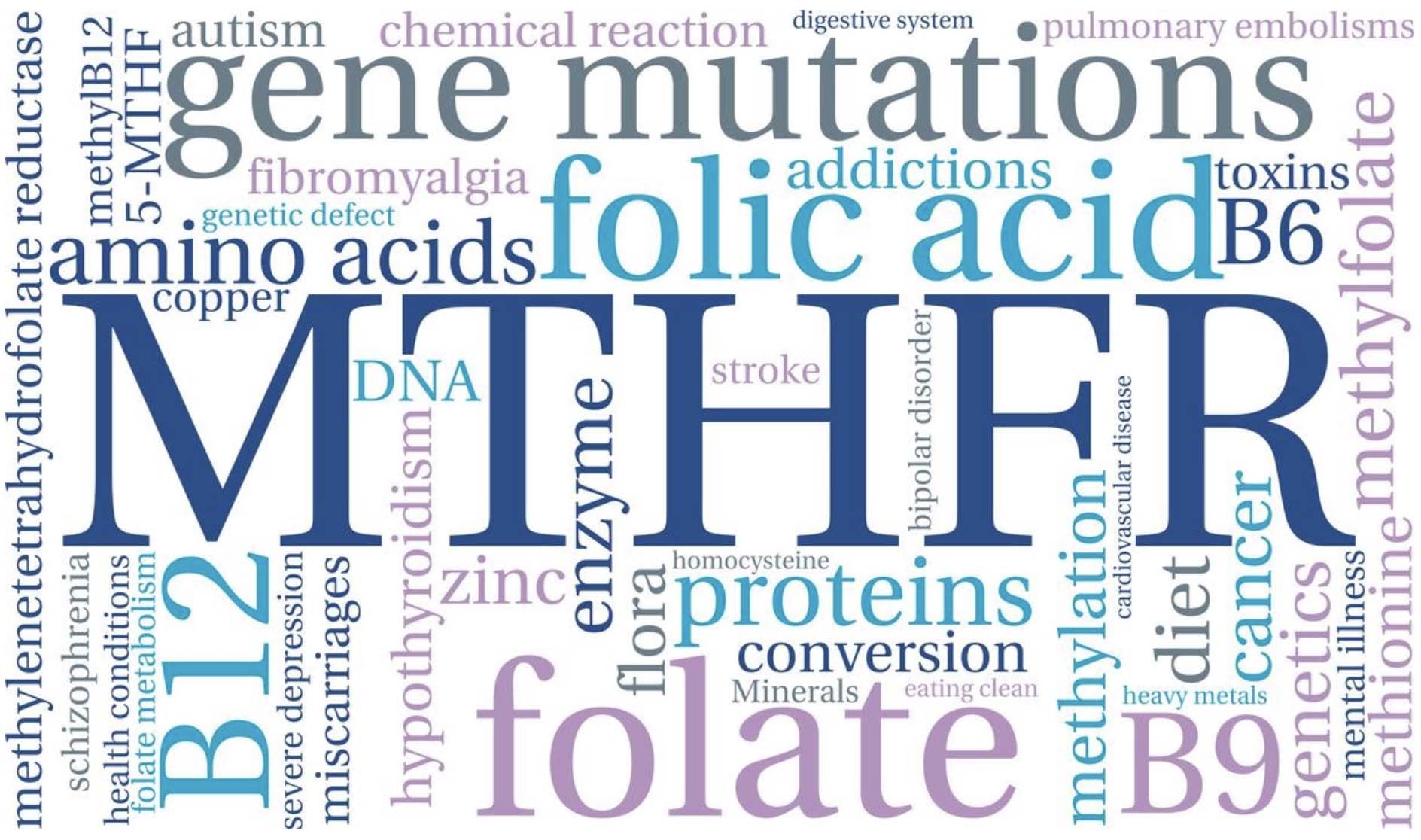 epigenetics-explained