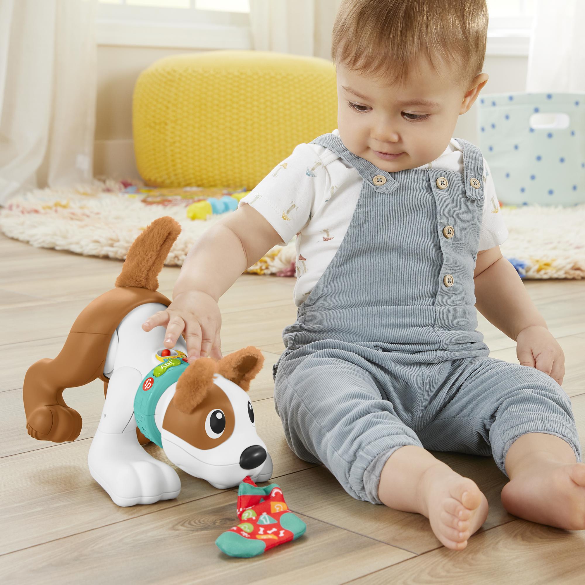 Fisher-Price Εκπαιδευτικό Σκυλάκι Μπουσουλάκι HHH18 - Fisher-Price