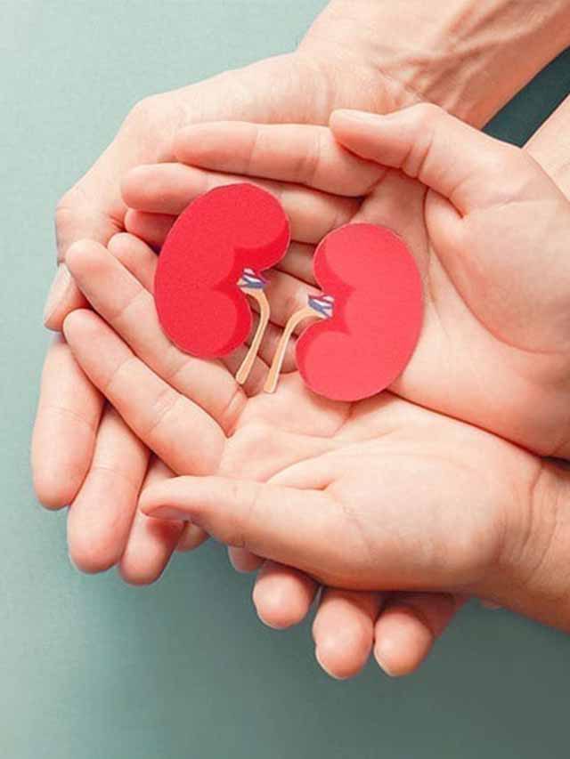 Nephrologist Dr Suresh Sankar Shares 10 Common Lifestyle Habits That Could Be Damaging Your Kidneys