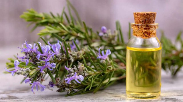 Beauty Nuskhe: 101 Guide On Essential Oils For A Nourished Twacha