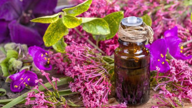 Beauty Nuskhe: 101 Guide On Essential Oils For A Nourished Twacha