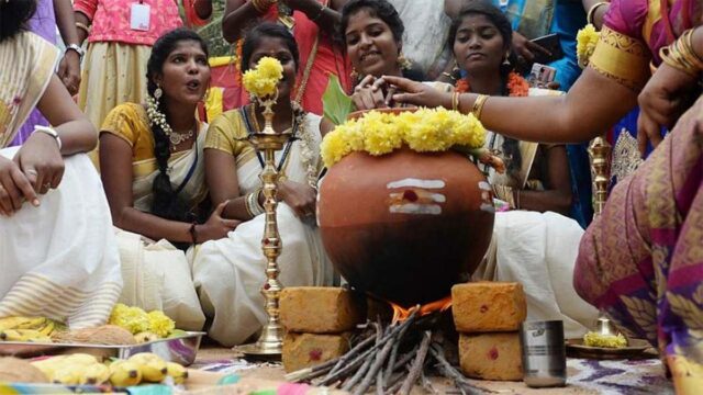 Buzz 46: Pongal 2023-Pooja Timings, Festive Delicacies & Everything Else You Need To Know