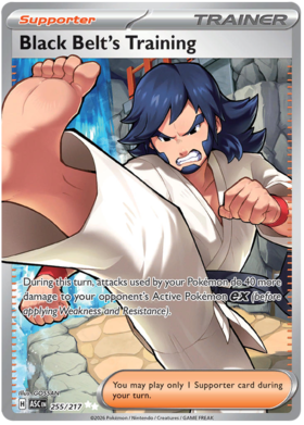 Black Belt's Training 255/295 from Ascended Heroes