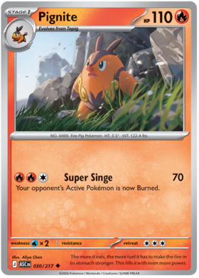 Pignite 30/295 from Ascended Heroes