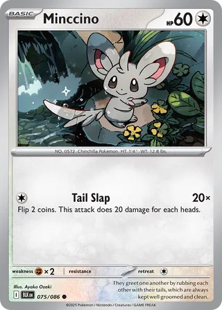 Minccino 75/172 from Black Bolt