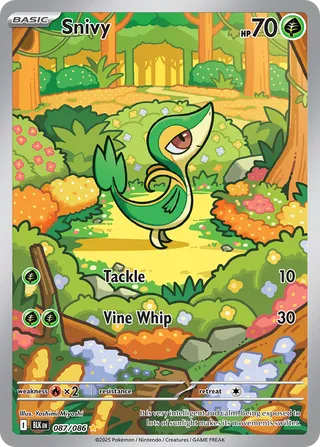 Snivy 87/172 from Black Bolt