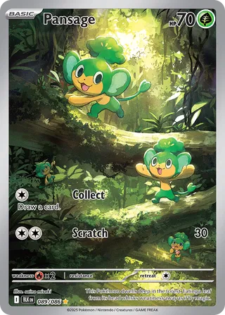 Pansage 89/172 from Black Bolt