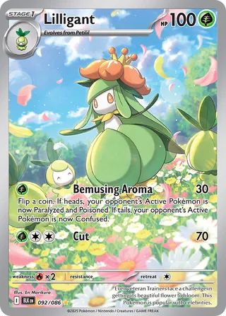 Lilligant 92/172 from Black Bolt