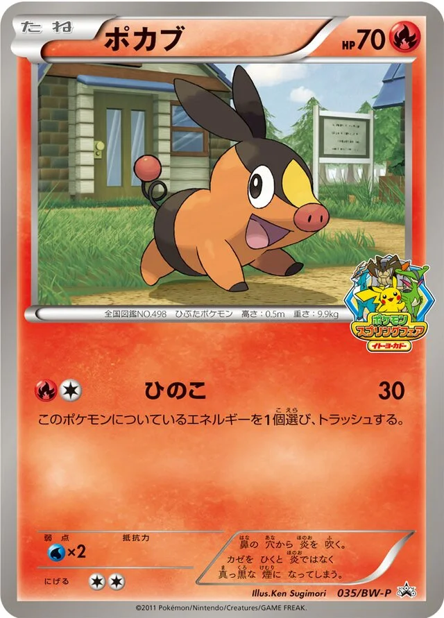 Tepig 35/295 from Black & White Promos