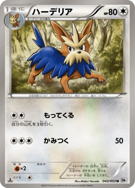 Herdier 43/56 from White Collection