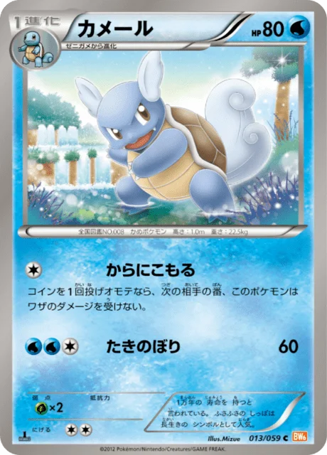 Wartortle 13/65 from Cold Flare