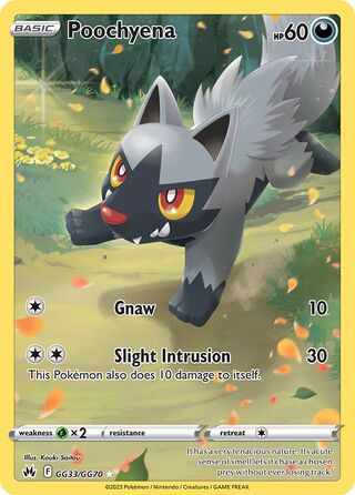 Poochyena 33/70 from Crown Zenith (Galarian Gallery)