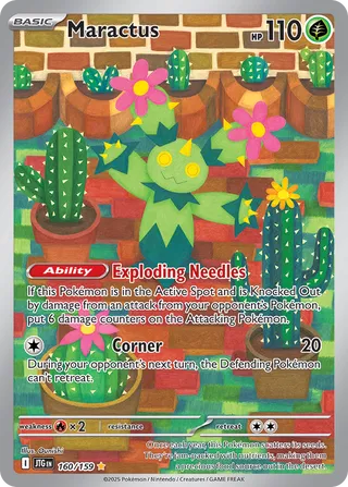 Maractus 160/190 from Journey Together
