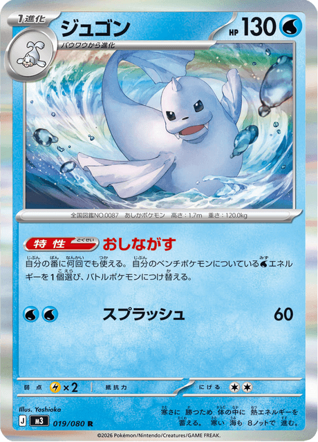 Dewgong 19/117 from Nullifying Zero