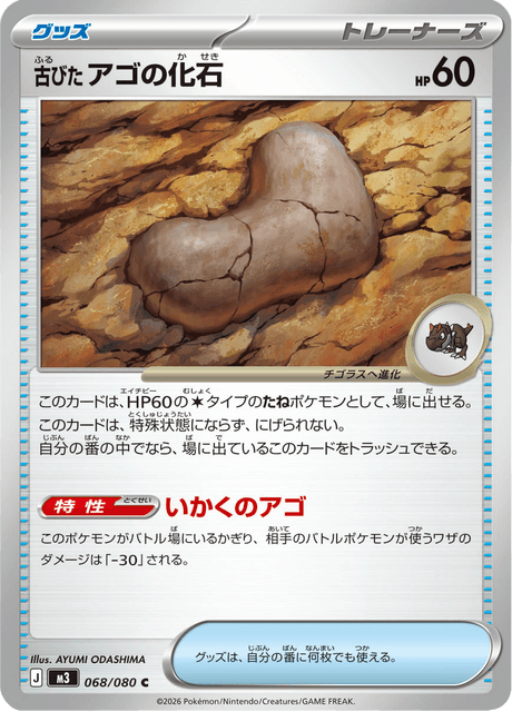 Antique Jaw Fossil 68/117 from Nullifying Zero