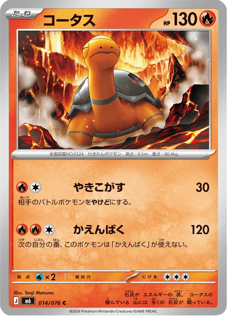 Torkoal 14/113 from Storm Emeralda