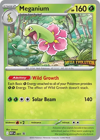 Meganium 1/70 from Mega Evolution Promos